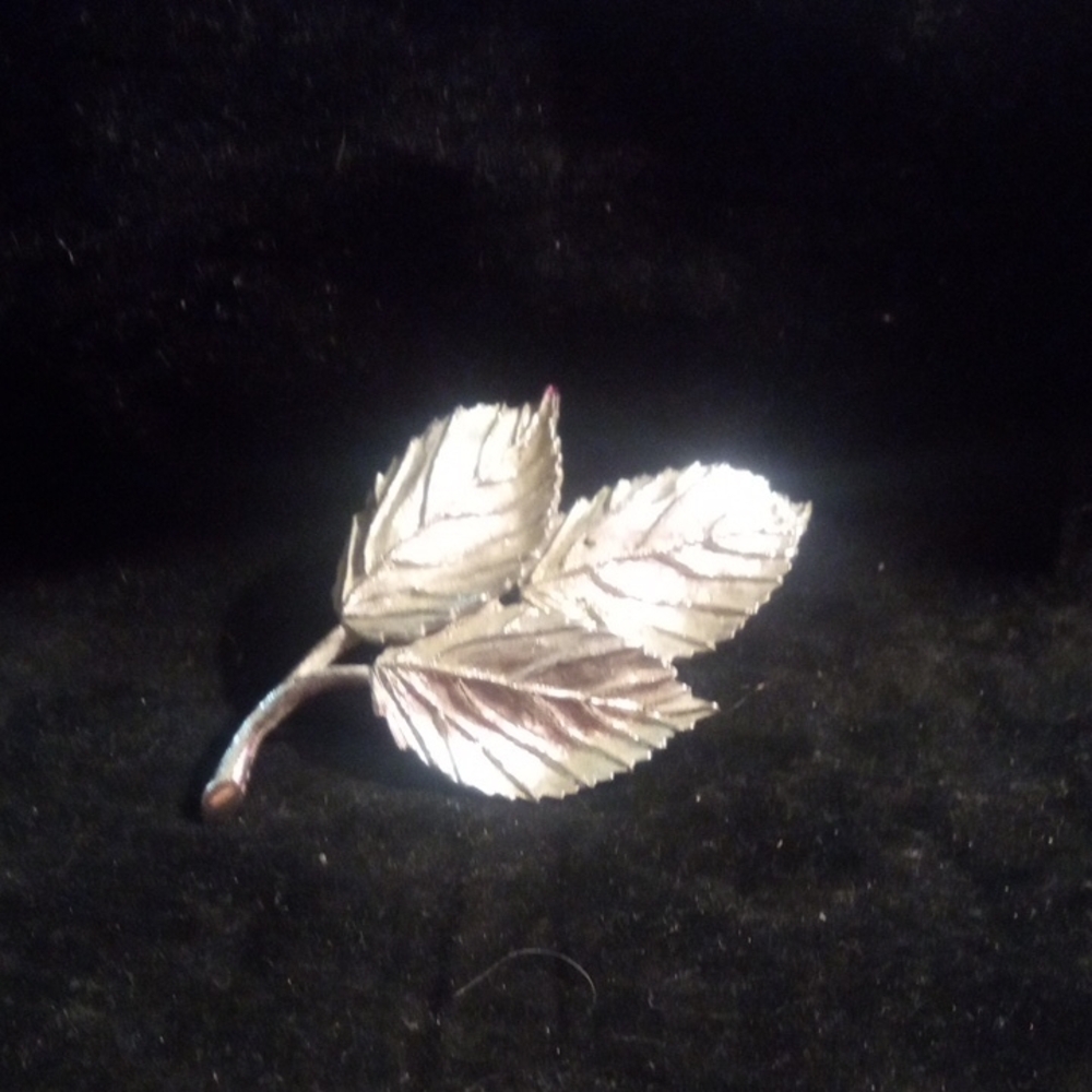 White Gold Plated Brooch